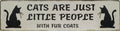 “Cats Are Just Little People” Plaque featuring Decorative Wall Art, Handmade Solid Wood