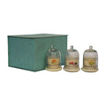 Bell Jar Candle Set of 3 - Orange, Lime & Basil, Grapefruit & Mangosteen, Jasmine & Lime