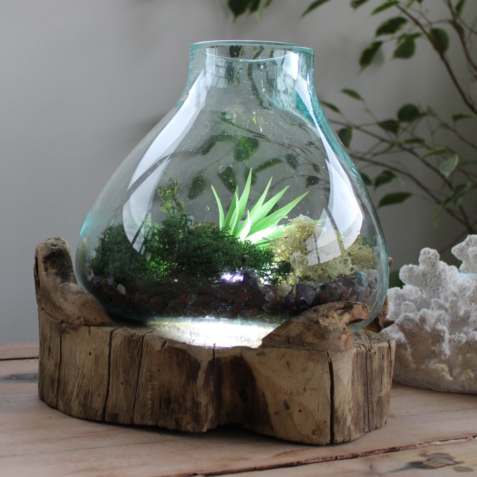 Handmade Molten Glass 3.7L Fish Tank with Light Base – 30cm