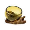 Handmade Molten Glass Mini Amber Bowl on Wood – 12cm