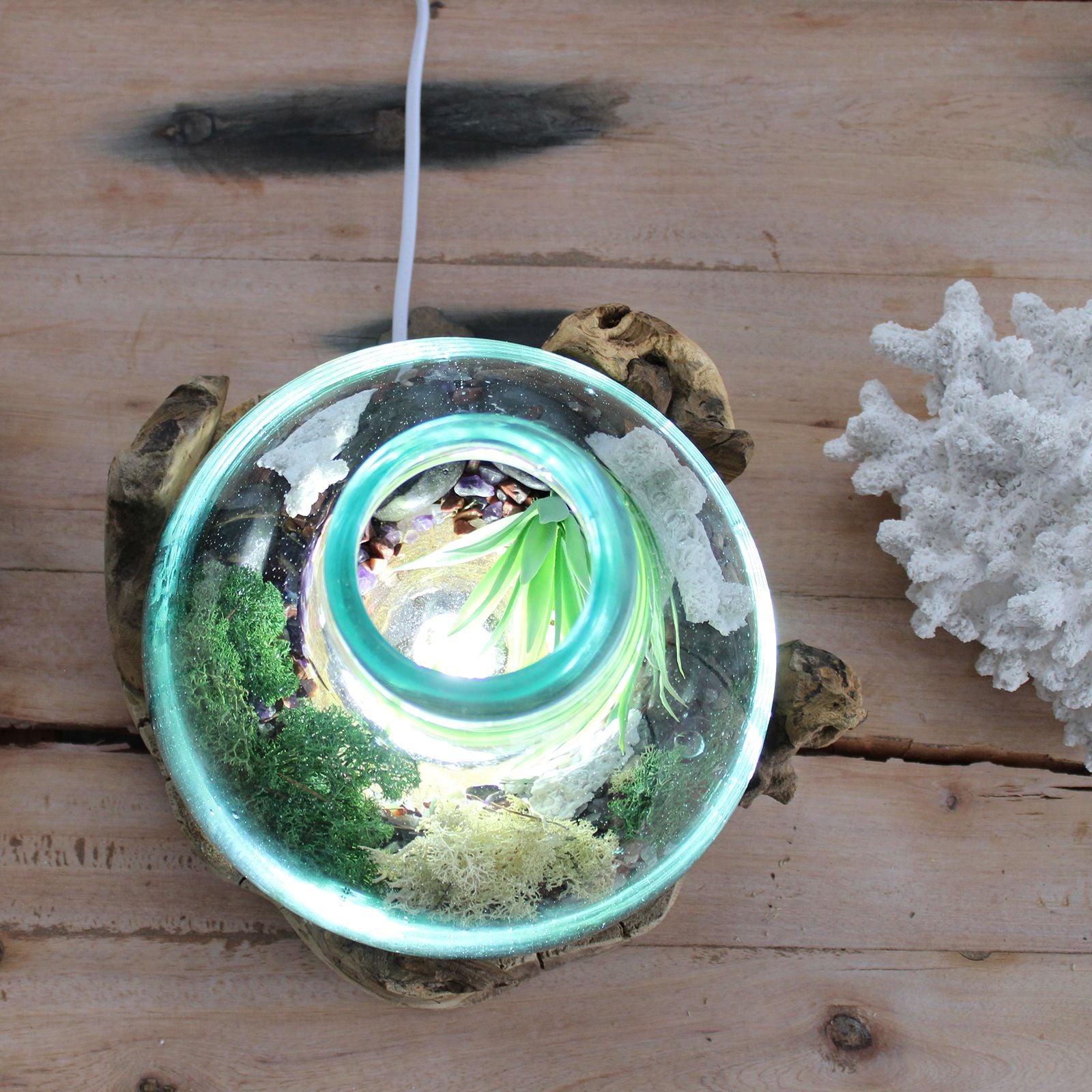 Handmade Molten Glass 3.7L Fish Tank with Light Base – 30cm