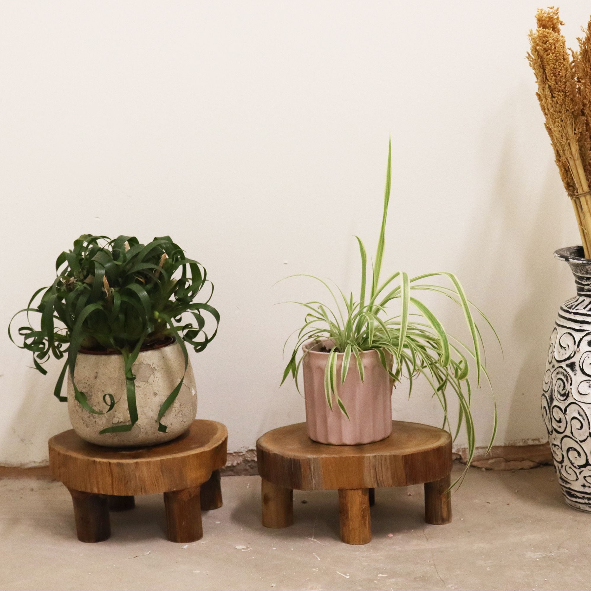 Low Teak Wood Pad Display Set of 2 - 24x10cm