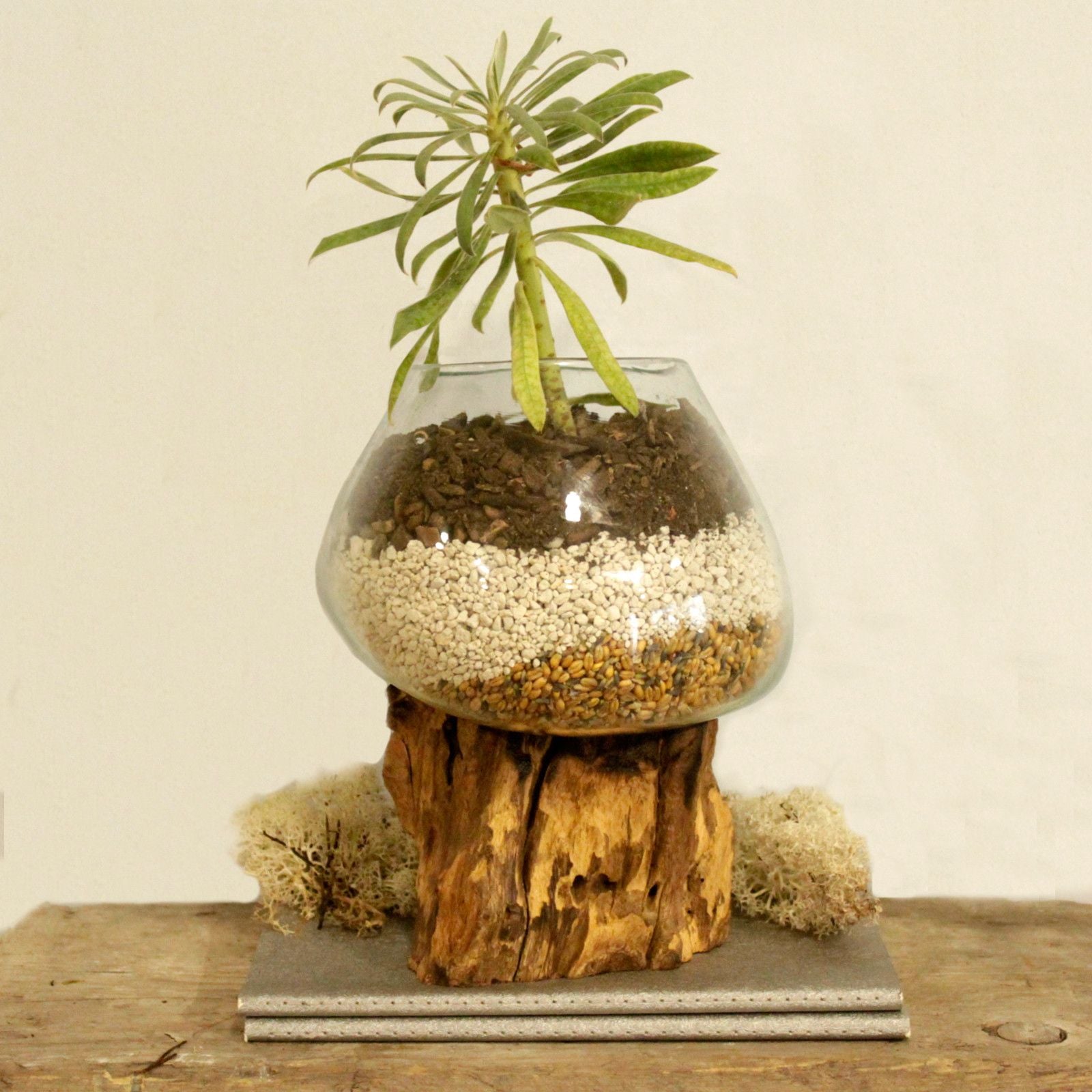 Handmade Molten Glass on Wood – Large 23cm Balinese Artisan Bowl