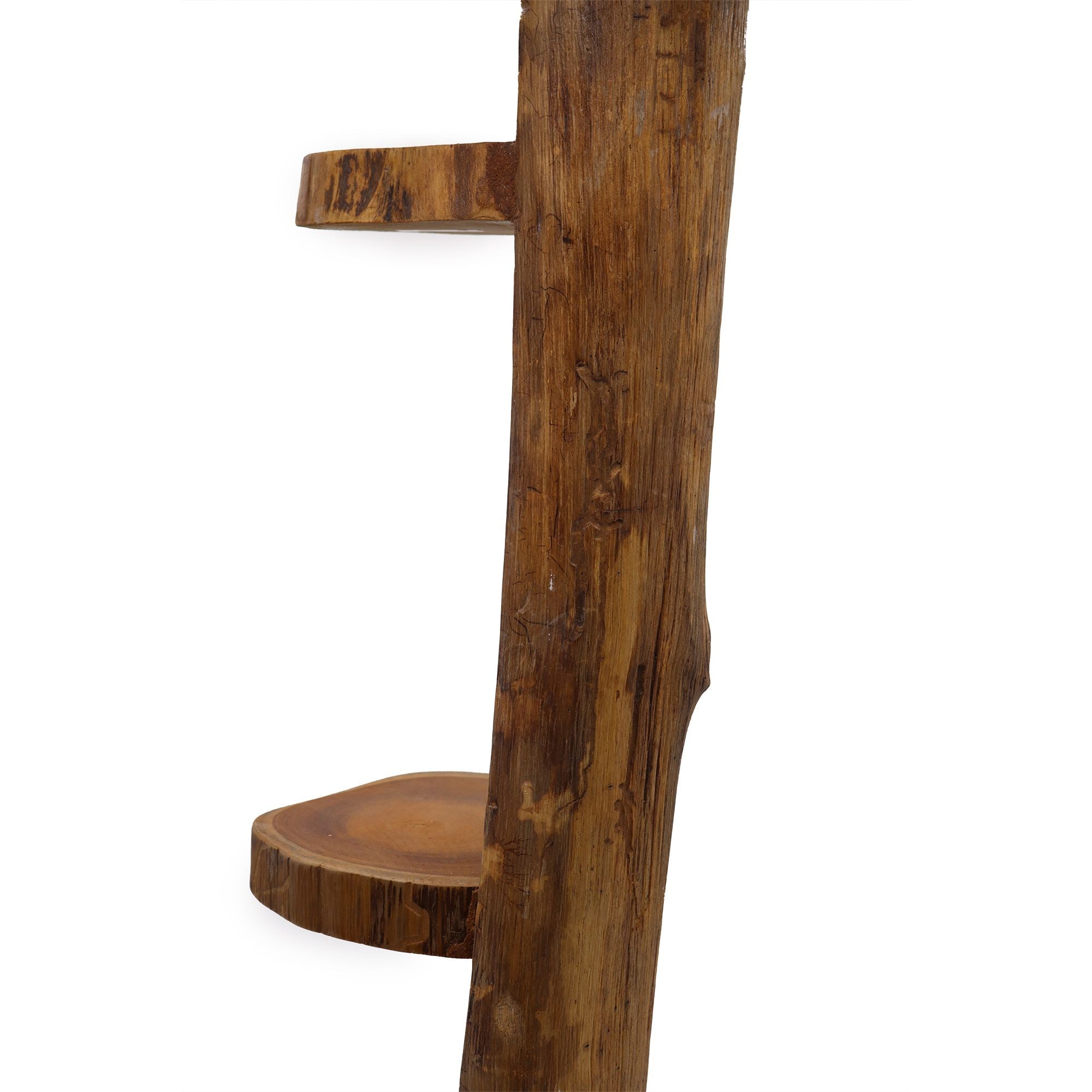 Natural Teak Log Shelve Display 3 Shelves - 100cm high